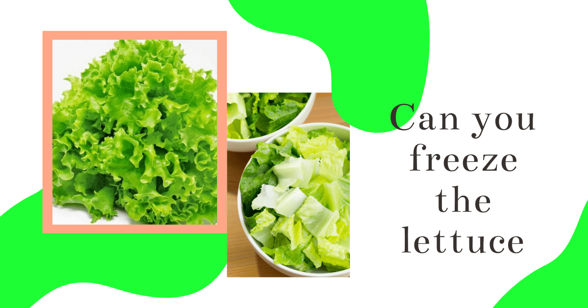 Can you freeze the lettuce