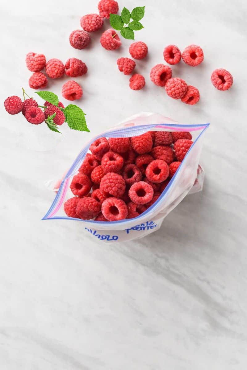 Moving Raspberries to containers or zip lock bags